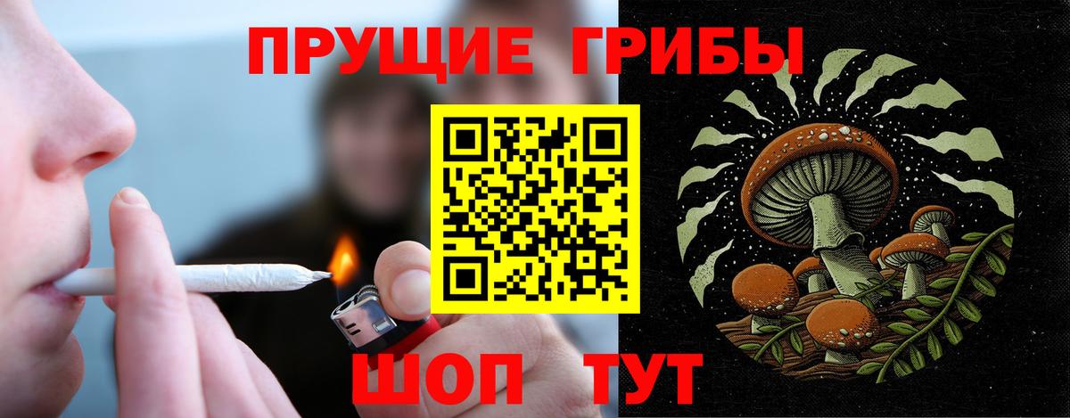 Псилоцибиновые грибы мицелий Бузулук