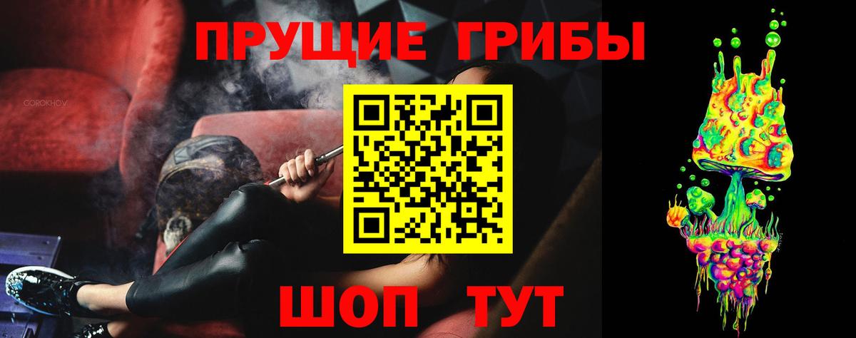 Галлюциногенные грибы Psilocybe  Вход с VPN  Бузулук 